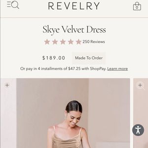 Revelry Skye Velvet Dress